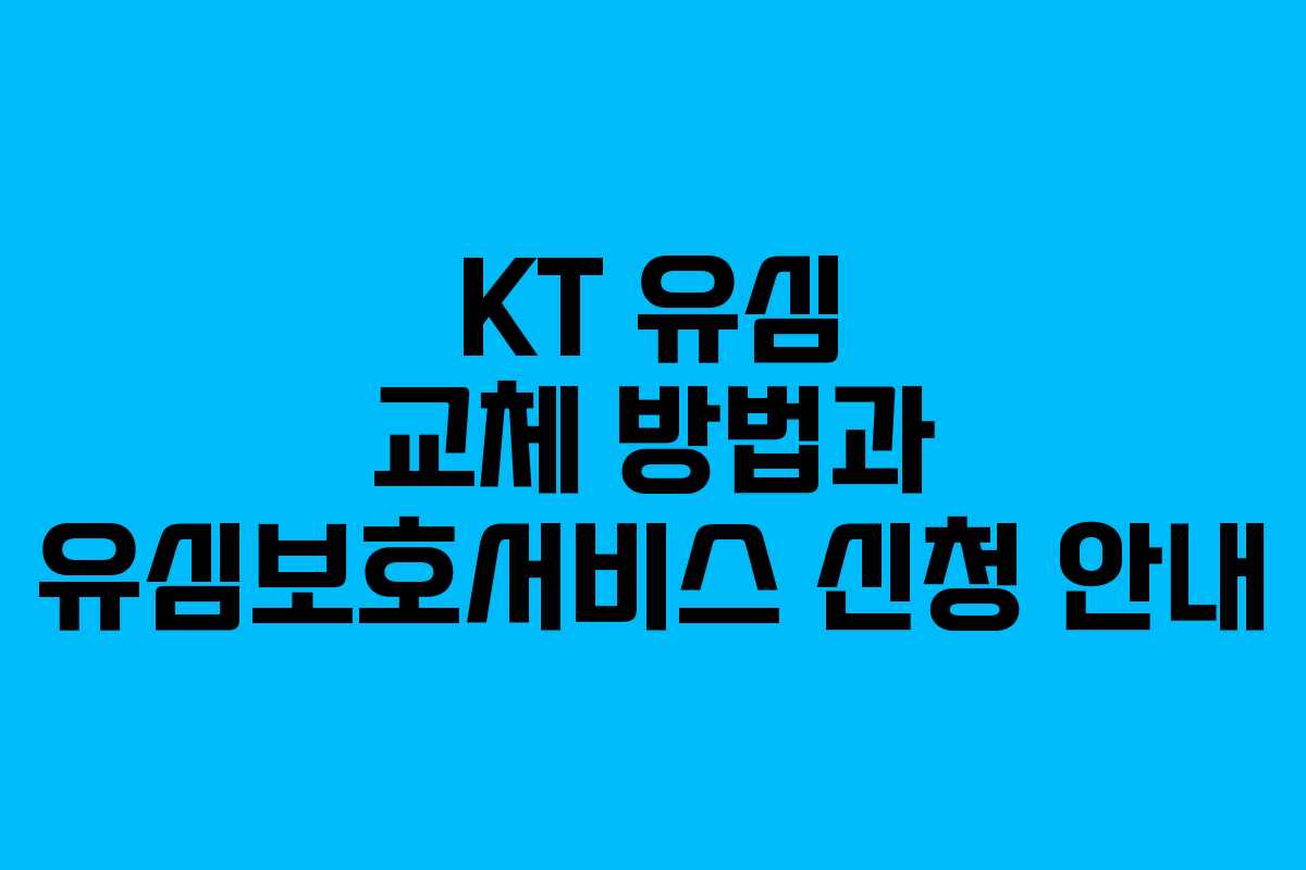 KT 유심 교체 방법과 유심보호서비스 신청 안내