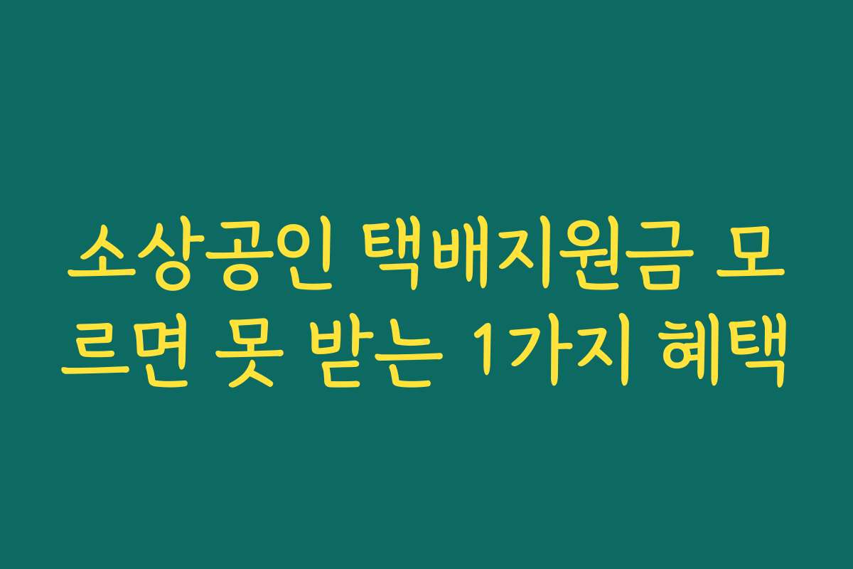 소상공인 택배지원금 모르면 못 받는 1가지 혜택