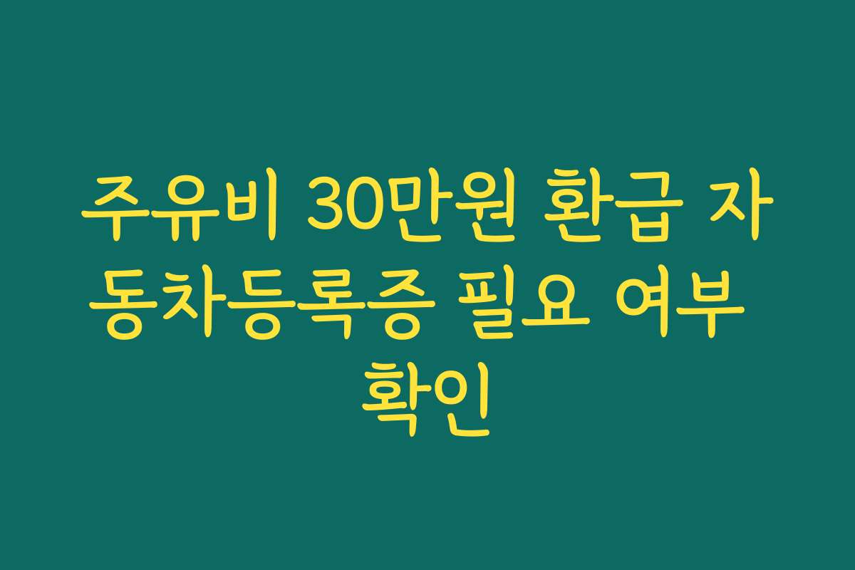 주유비 30만원 환급 자동차등록증 필요 여부 확인 주유비 30만원 환급 자동차등록증 필요 여부 확인
