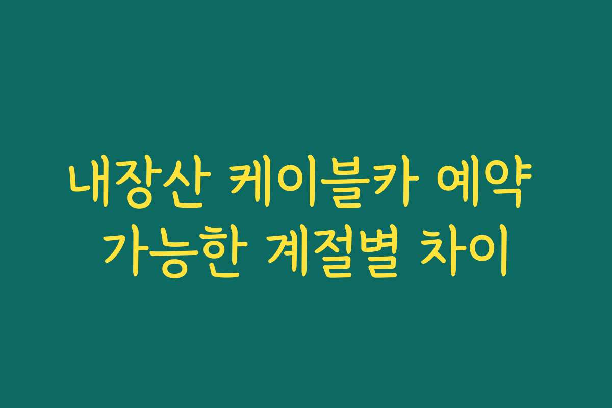 내장산 케이블카 예약 가능한 계절별 차이