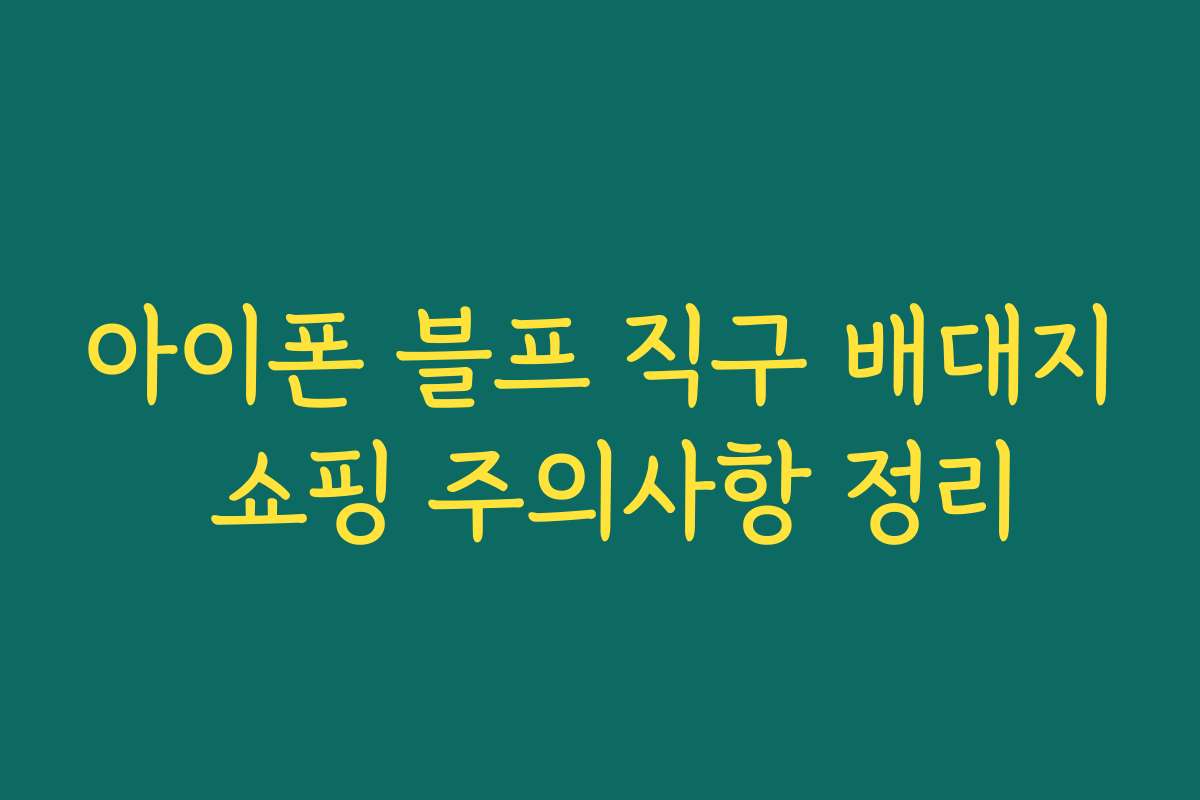 아이폰 블프 직구 배대지 쇼핑 주의사항 정리