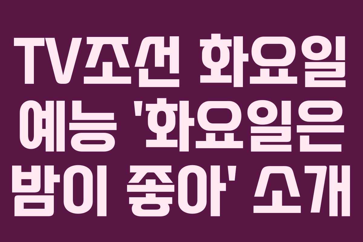 TV조선 화요일 예능 ‘화요일은 밤이 좋아’ 소개