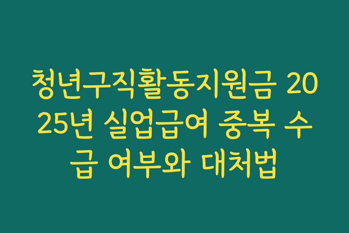 청년구직활동지원금 2025년 실업급여 중복 수급 여부와 대처법