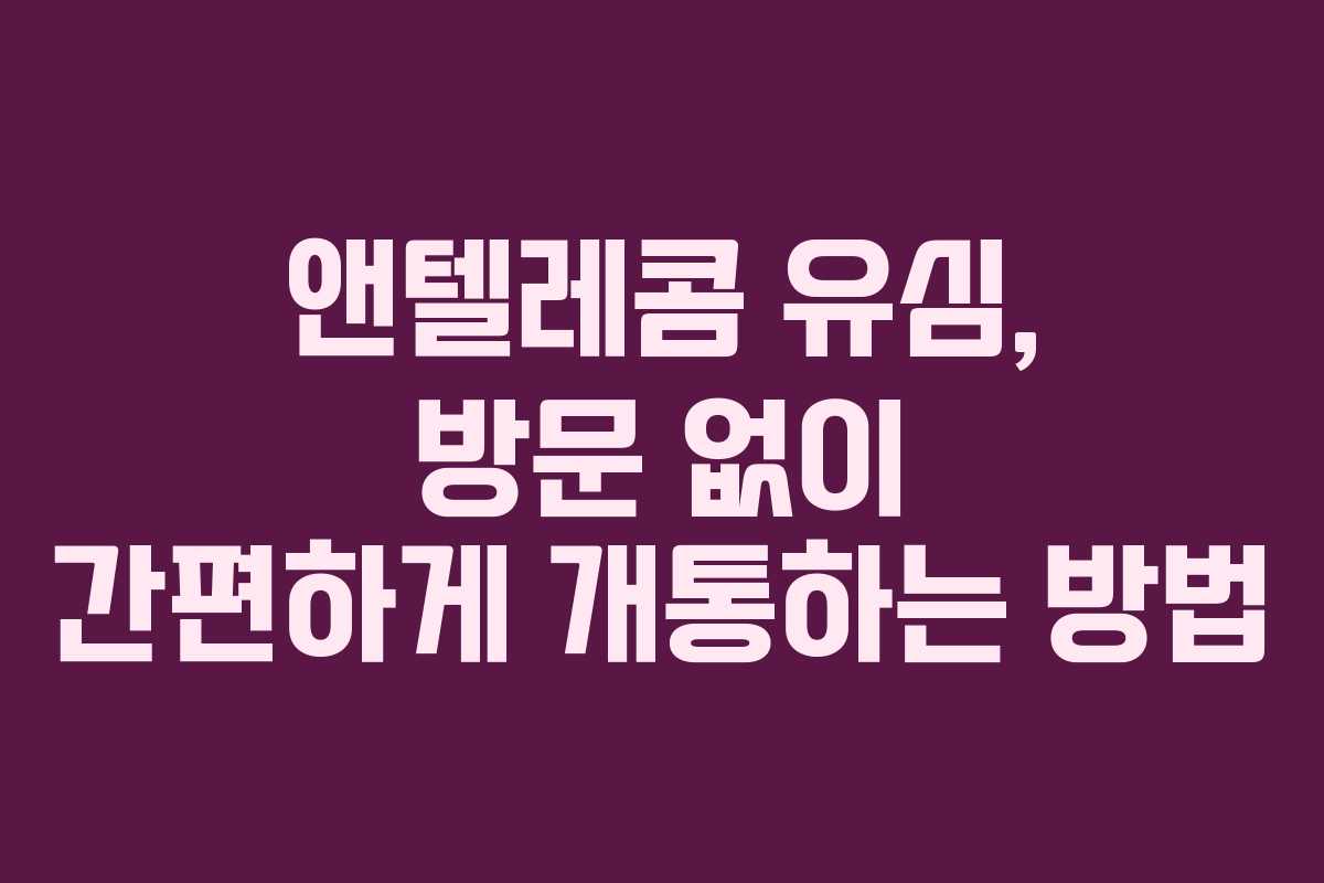 앤텔레콤 유심, 방문 없이 간편하게 개통하는 방법