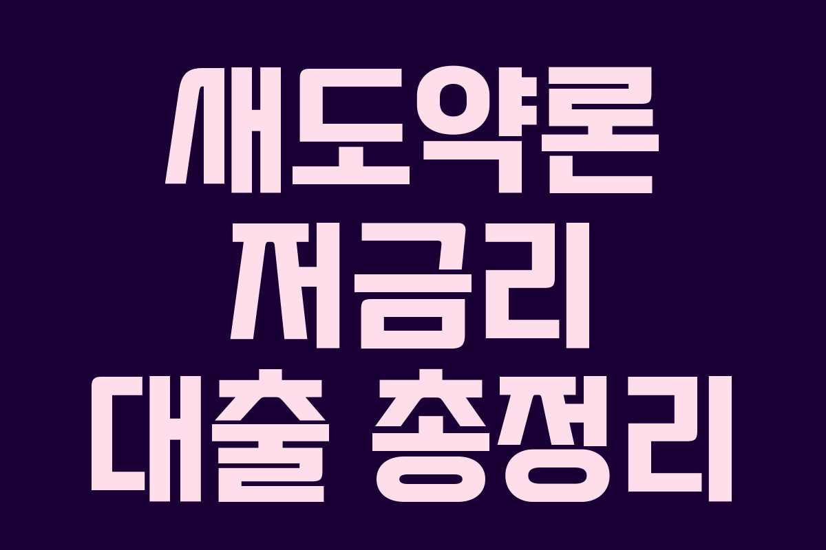 새도약론 저금리 대출 총정리