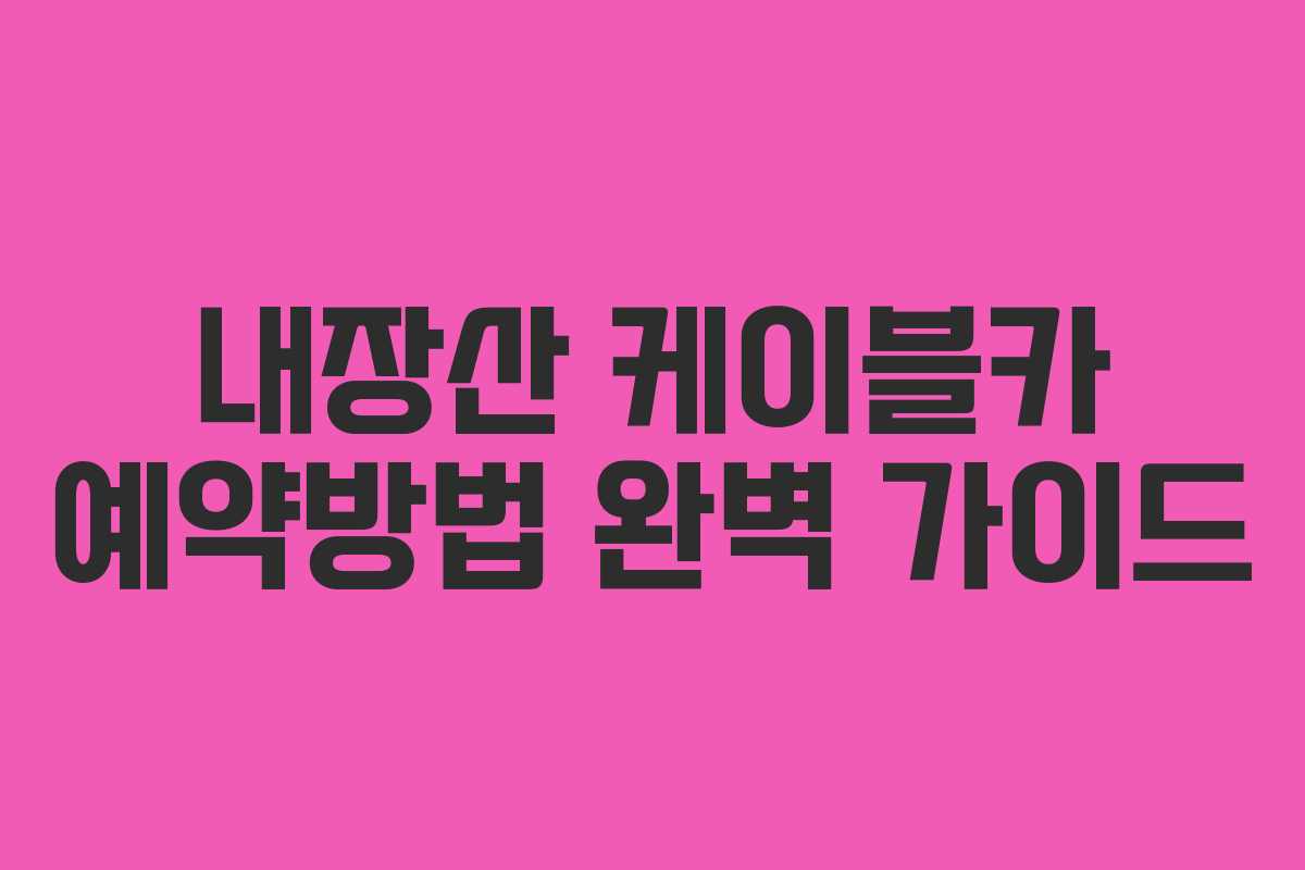 내장산 케이블카 예약방법 완벽 가이드 내장산 케이블카 예약방법 완벽 가이드