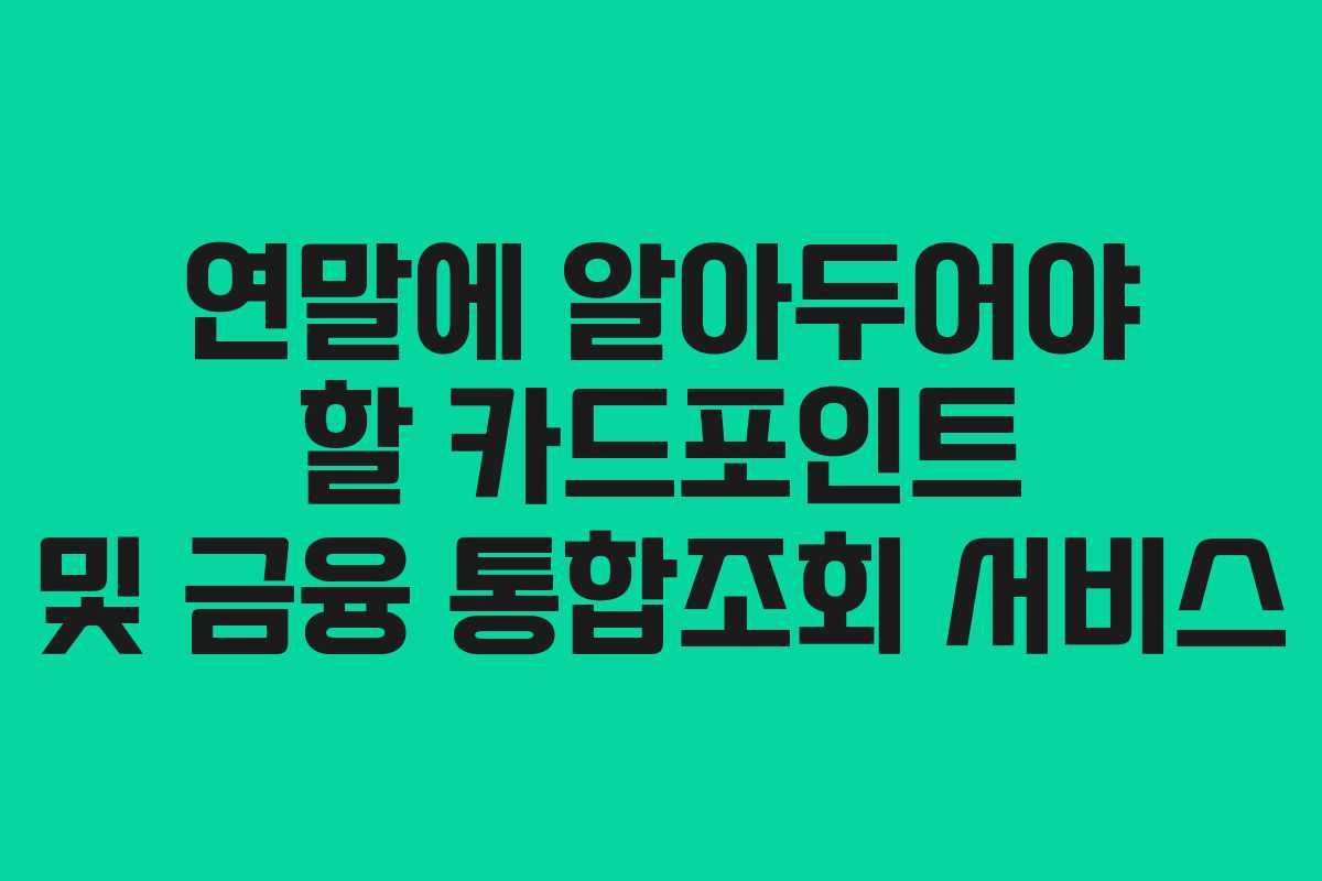 연말에 알아두어야 할 카드포인트 및 금융 통합조회 서비스