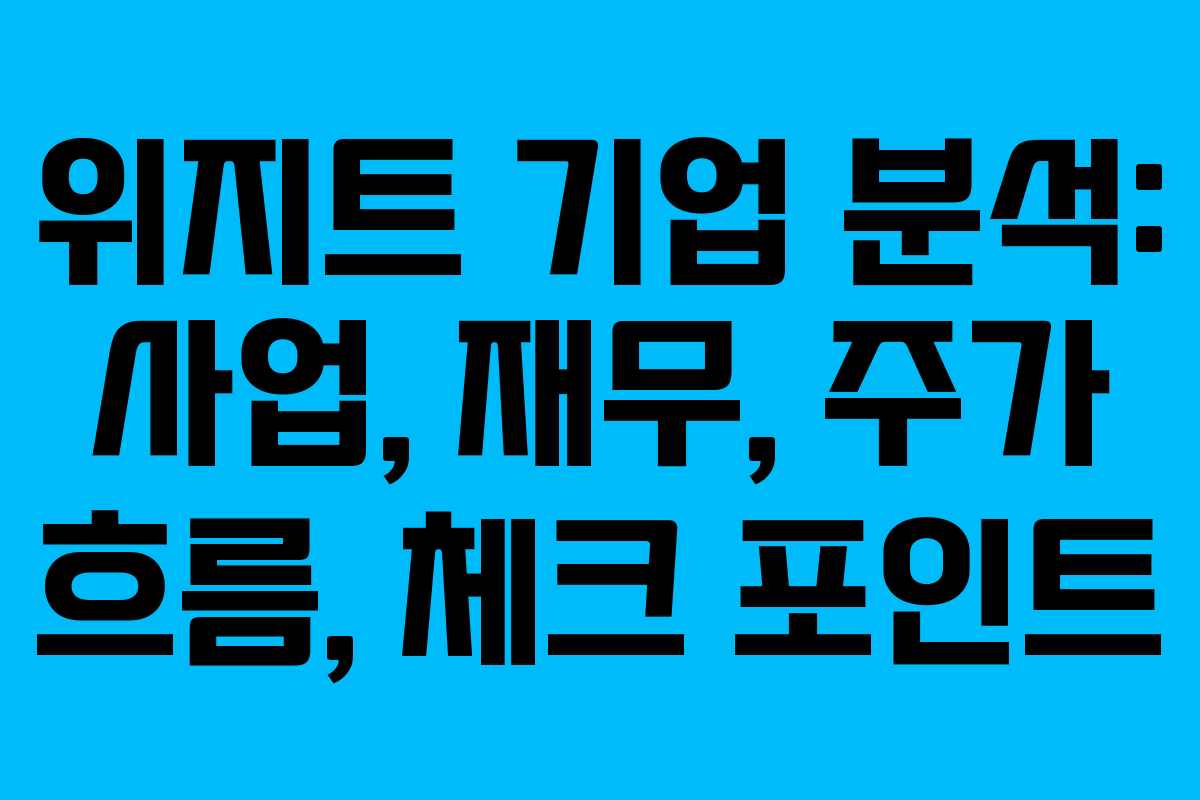 위지트 기업 분석: 사업, 재무, 주가 흐름, 체크 포인트 위지트 기업 분석: 사업, 재무, 주가 흐름, 체크 포인트