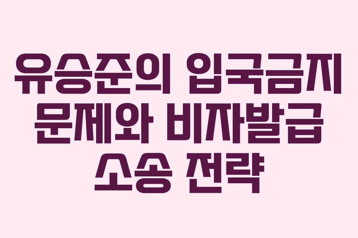 유승준의 입국금지 문제와 비자발급 소송 전략