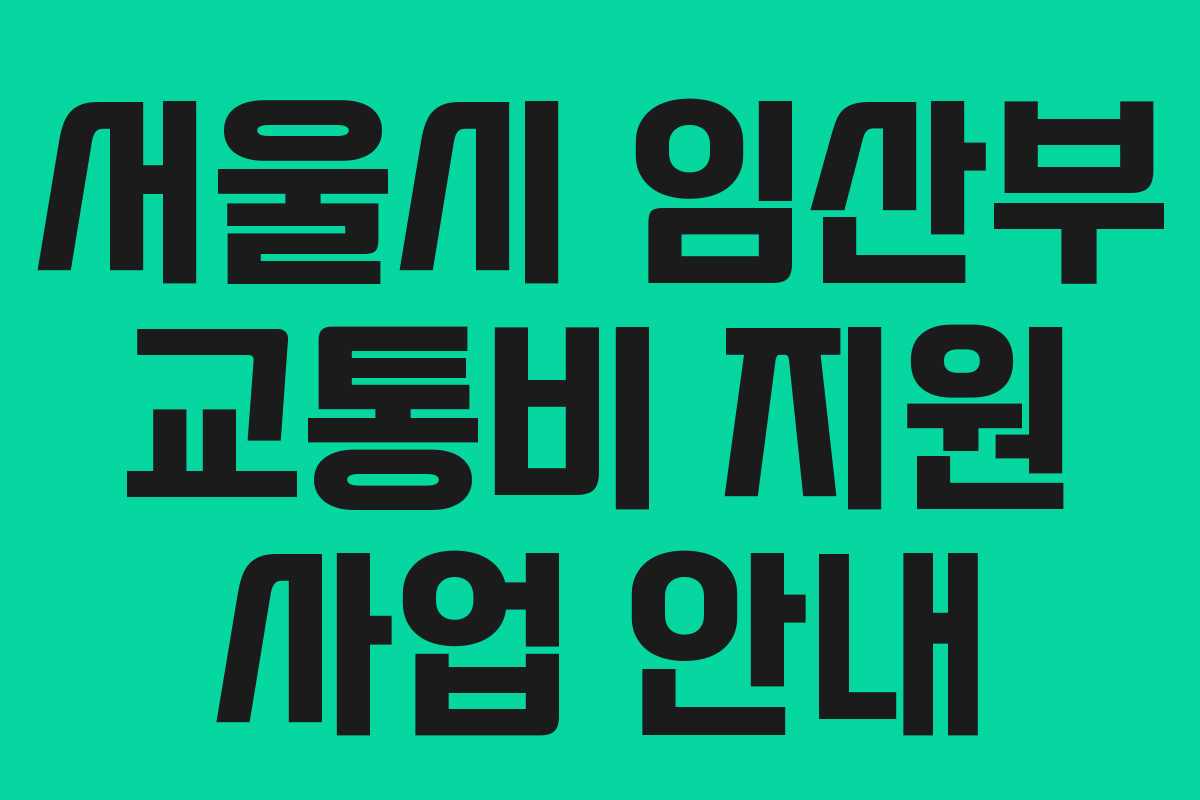 서울시 임산부 교통비 지원 사업 안내