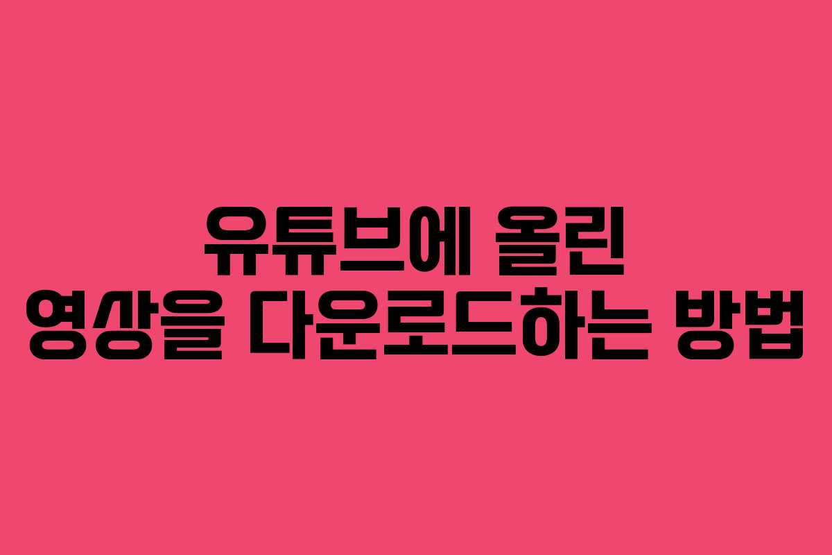 유튜브에 올린 영상을 다운로드하는 방법