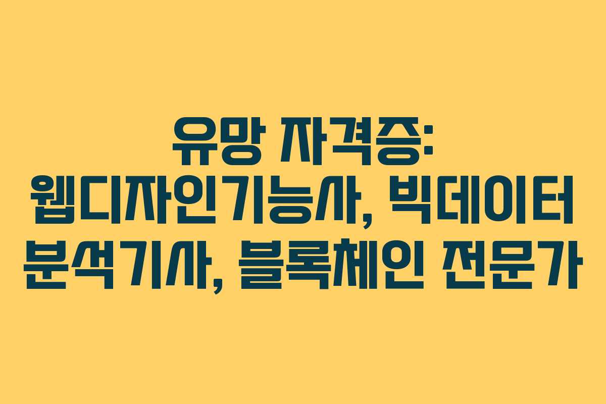 유망 자격증: 웹디자인기능사, 빅데이터 분석기사, 블록체인 전문가