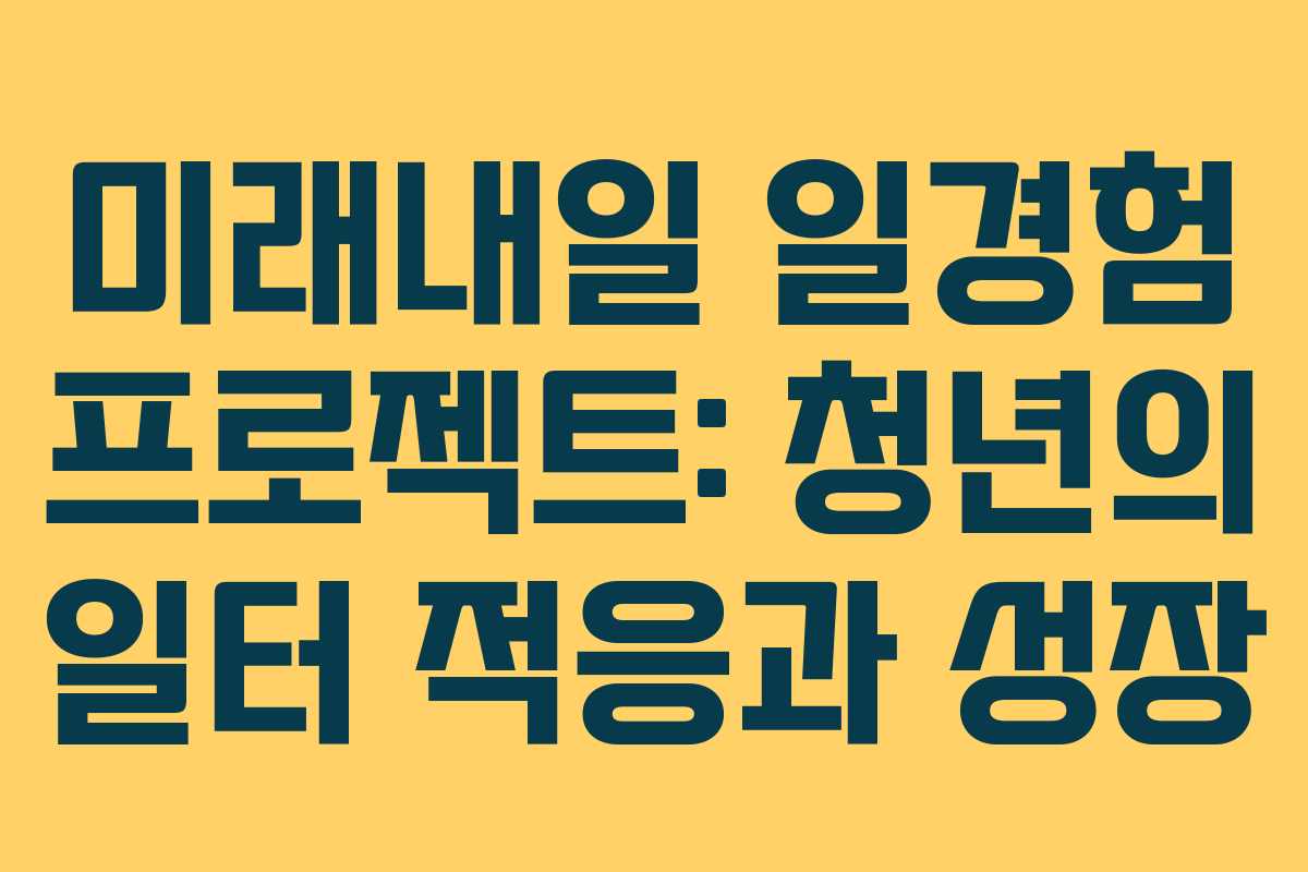 미래내일 일경험 프로젝트: 청년의 일터 적응과 성장