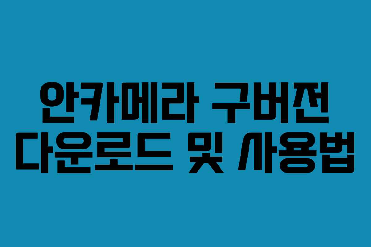 안카메라 구버전 다운로드 및 사용법