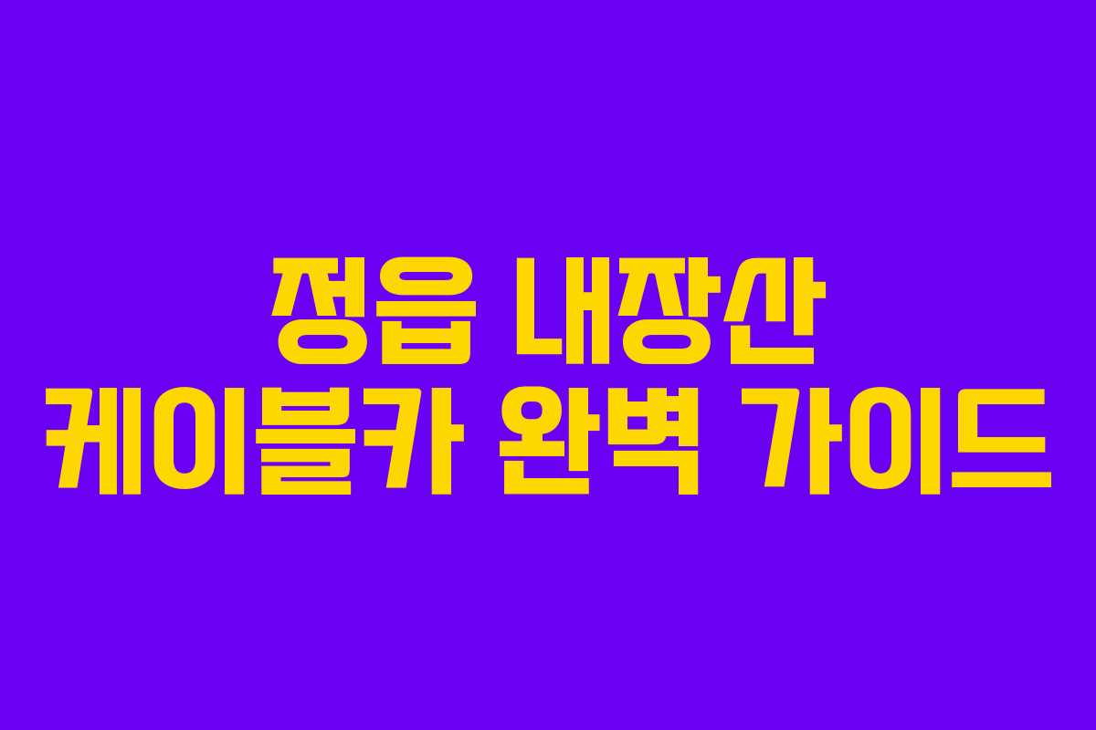 정읍 내장산 케이블카 완벽 가이드