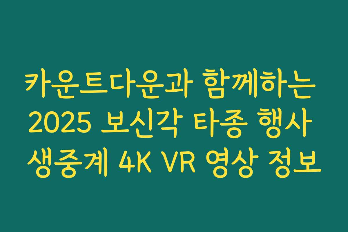 카운트다운과 함께하는 2025 보신각 타종 행사 생중계 4K VR 영상 정보