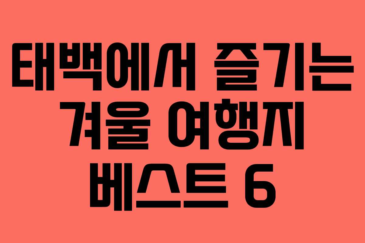 태백에서 즐기는 겨울 여행지 베스트 6