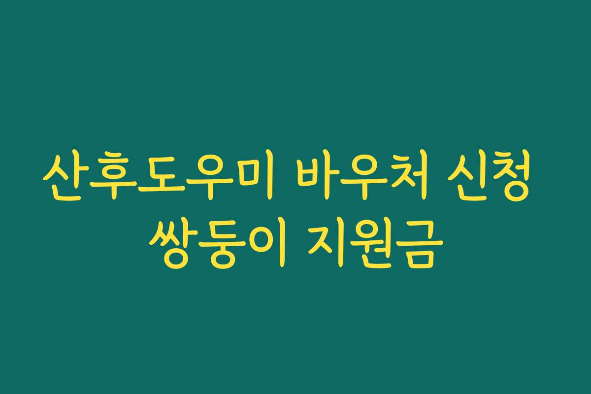 산후도우미 바우처 신청 쌍둥이 지원금