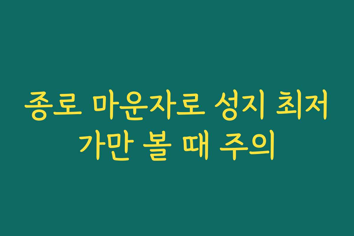종로 마운자로 성지 최저가만 볼 때 주의