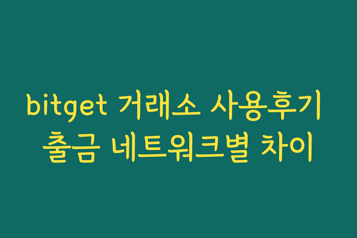 bitget 거래소 사용후기 출금 네트워크별 차이
