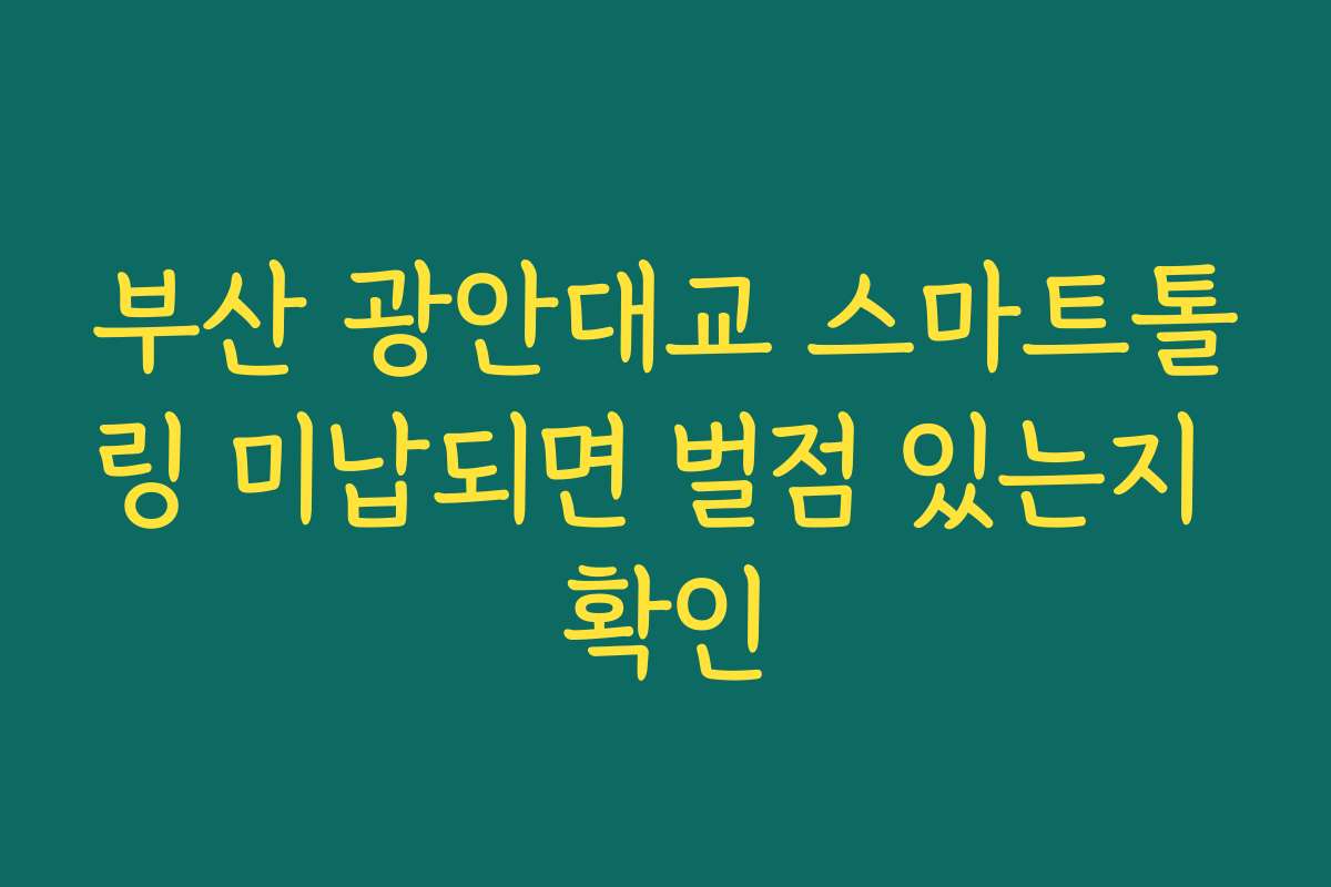 부산 광안대교 스마트톨링 미납되면 벌점 있는지 확인