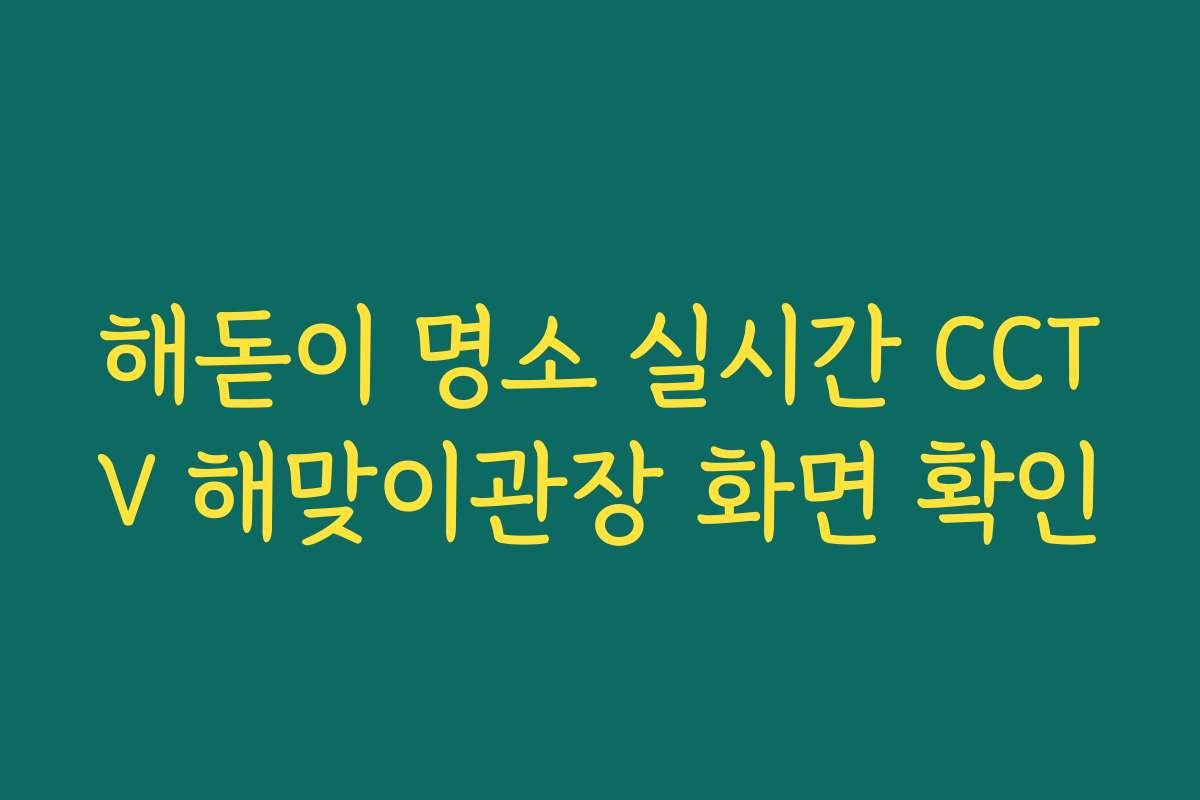 해돋이 명소 실시간 CCTV 해맞이관장 화면 확인