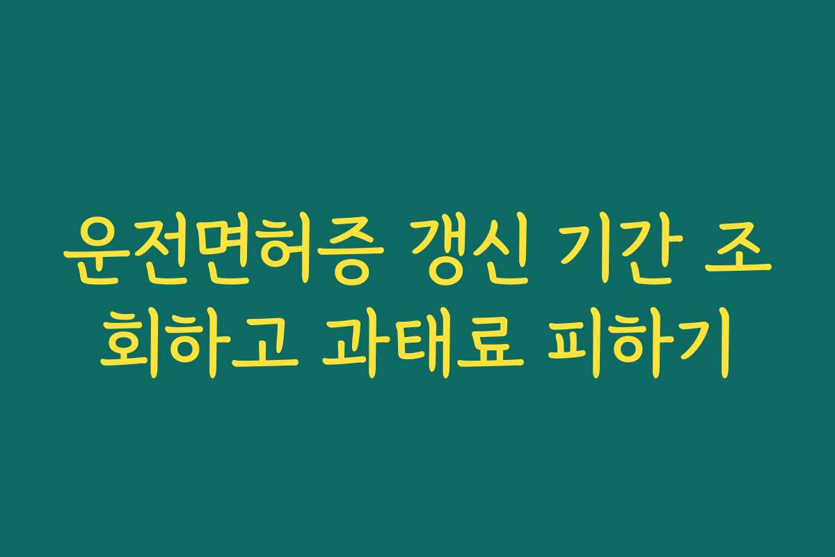 운전면허증 갱신 기간 조회하고 과태료 피하기