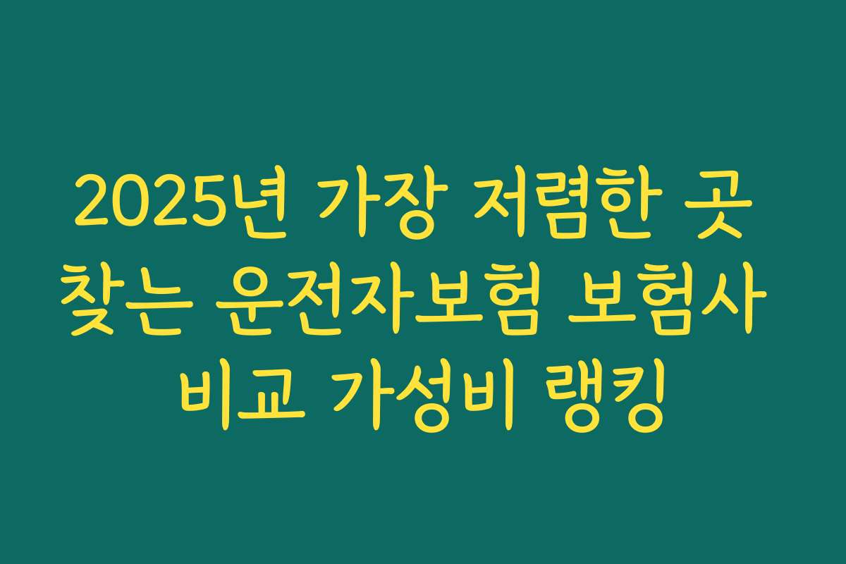 2025년 가장 저렴한 곳 찾는 운전자보험 보험사 비교 가성비 랭킹