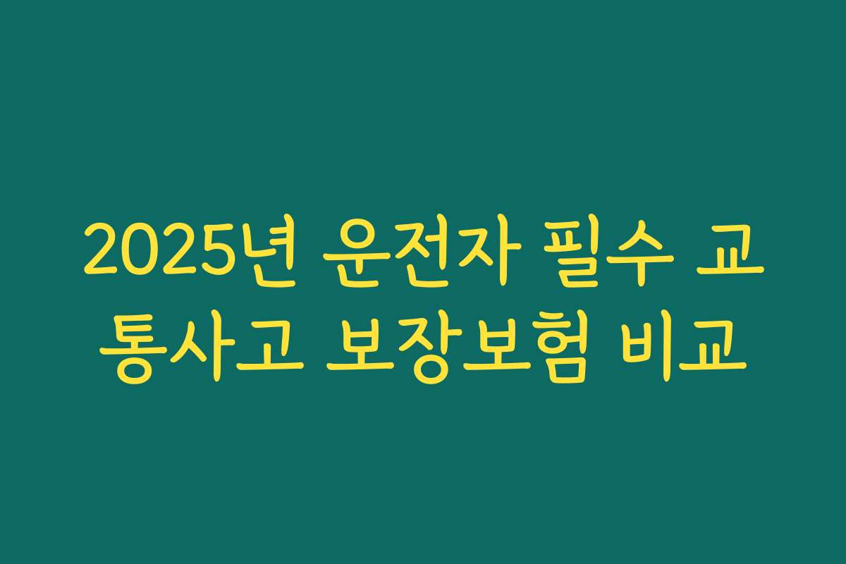 2025년 운전자 필수 교통사고 보장보험 비교