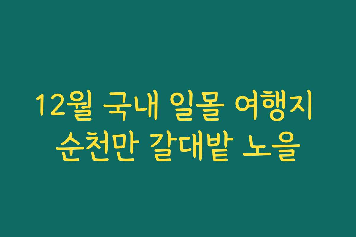 12월 국내 일몰 여행지 순천만 갈대밭 노을