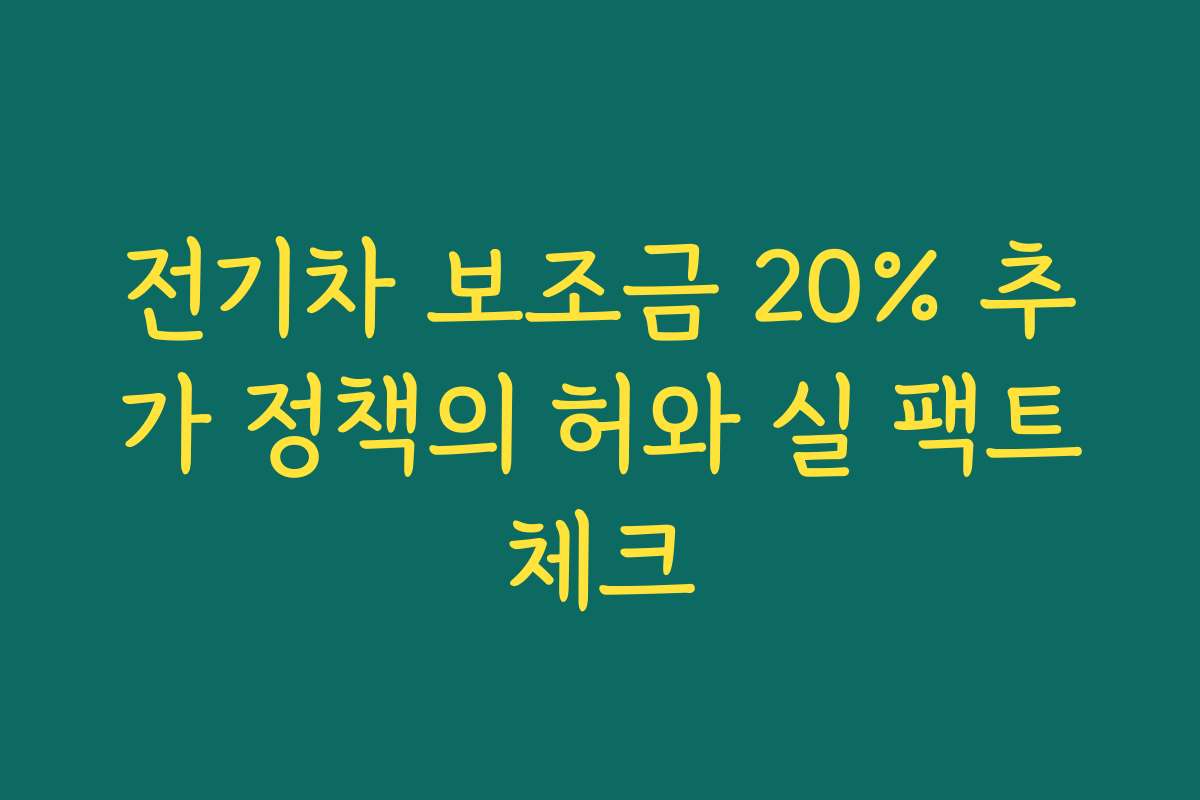 전기차 보조금 20% 추가 정책의 허와 실 팩트체크