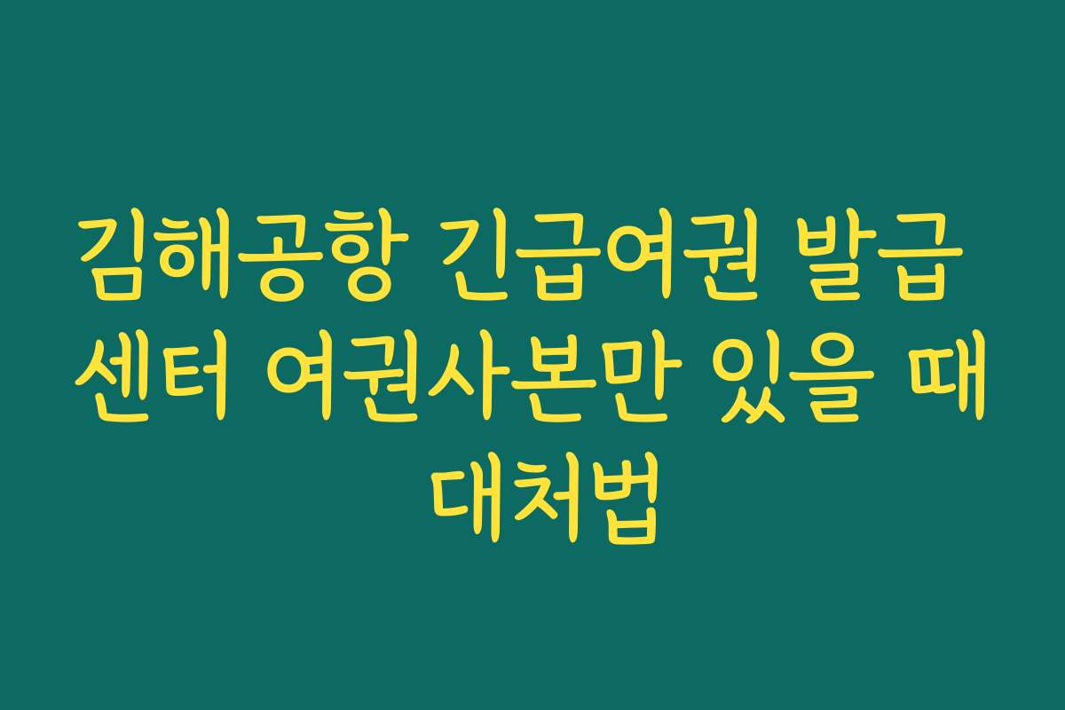 김해공항 긴급여권 발급 센터 여권사본만 있을 때 대처법