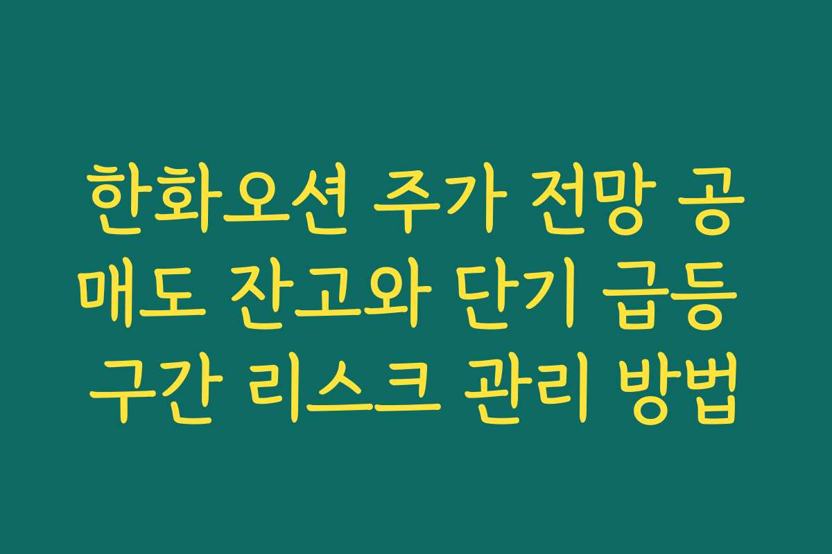 한화오션 주가 전망 공매도 잔고와 단기 급등 구간 리스크 관리 방법