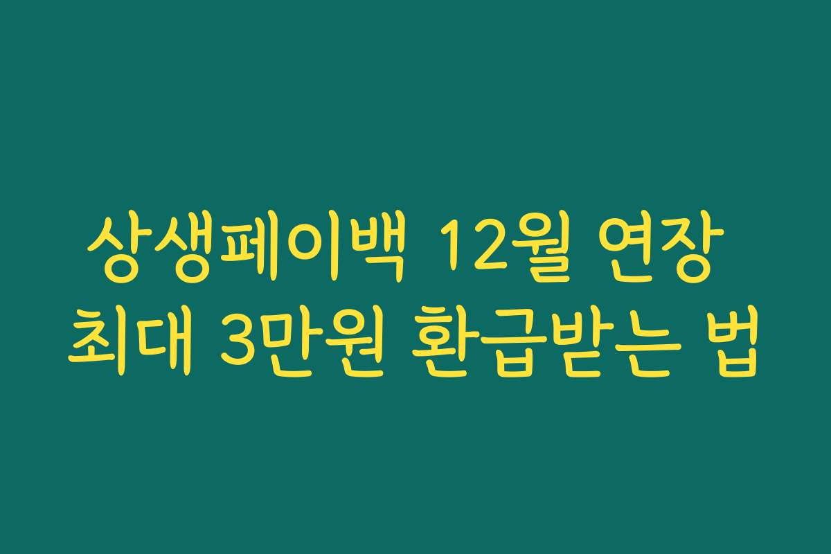 상생페이백 12월 연장 최대 3만원 환급받는 법