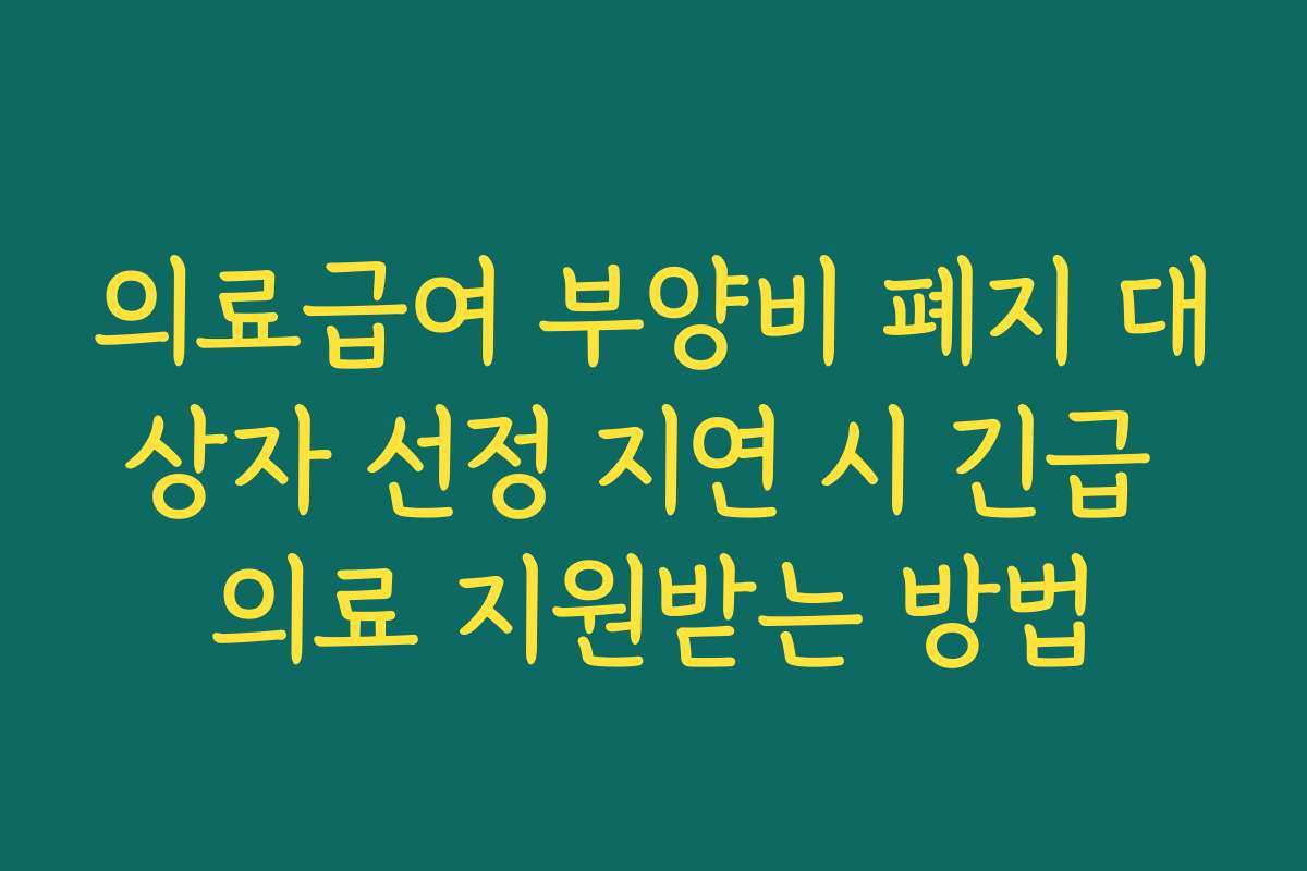 의료급여 부양비 폐지 대상자 선정 지연 시 긴급 의료 지원받는 방법