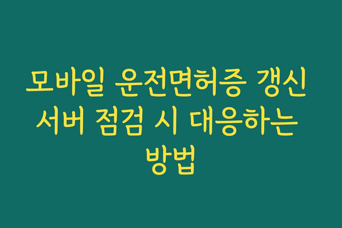 모바일 운전면허증 갱신 서버 점검 시 대응하는 방법