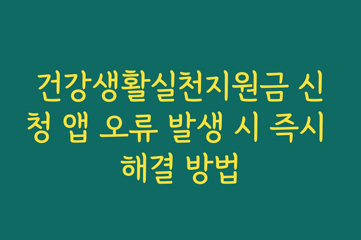 건강생활실천지원금 신청 앱 오류 발생 시 즉시 해결 방법