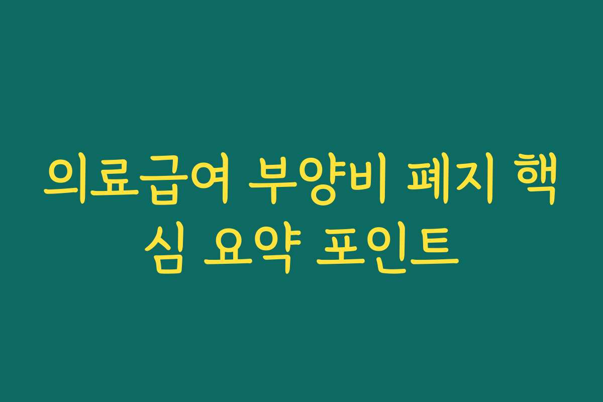 의료급여 부양비 폐지 핵심 요약 포인트