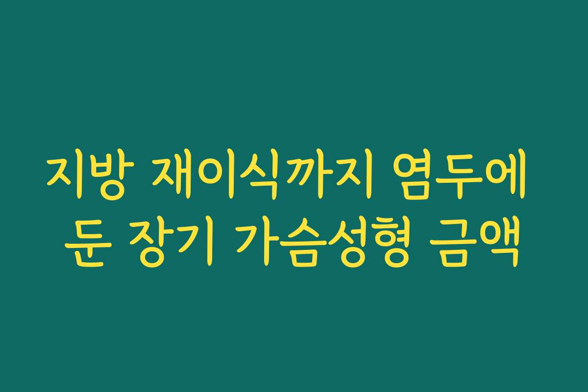 지방 재이식까지 염두에 둔 장기 가슴성형 금액