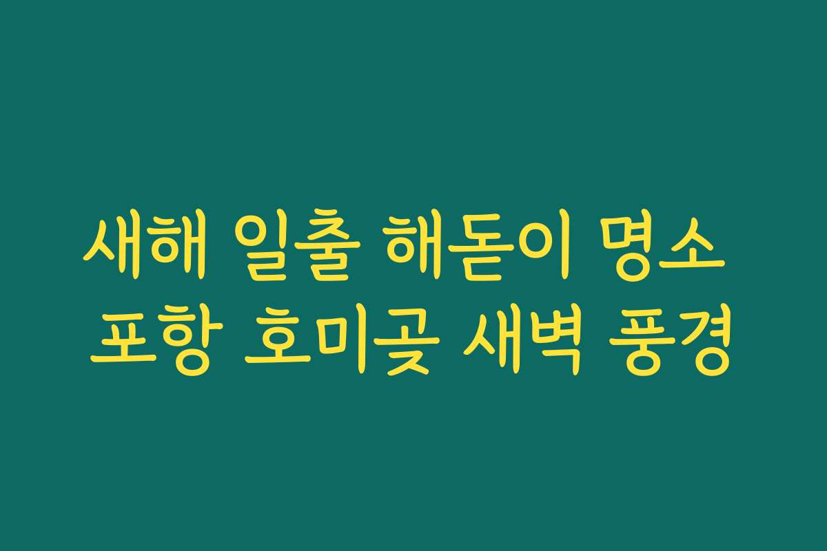 새해 일출 해돋이 명소 포항 호미곶 새벽 풍경