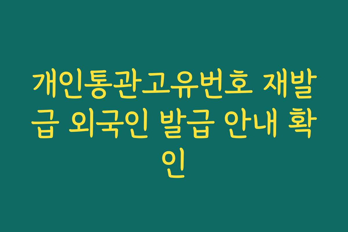 개인통관고유번호 재발급 외국인 발급 안내 확인 개인통관고유번호 재발급 외국인 발급 안내 확인