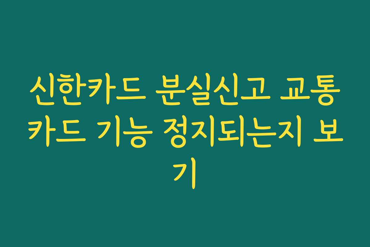 신한카드 분실신고 교통카드 기능 정지되는지 보기
