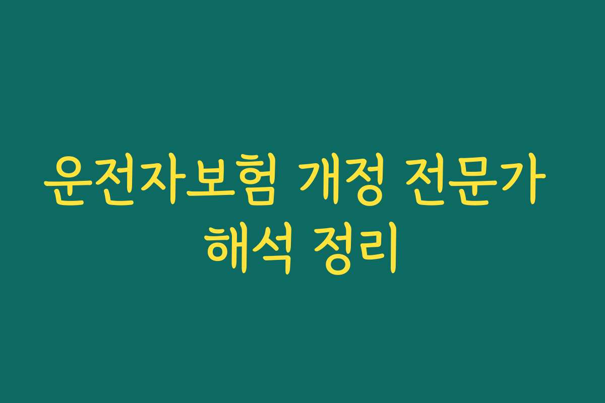 운전자보험 개정 전문가 해석 정리 운전자보험 개정 전문가 해석 정리