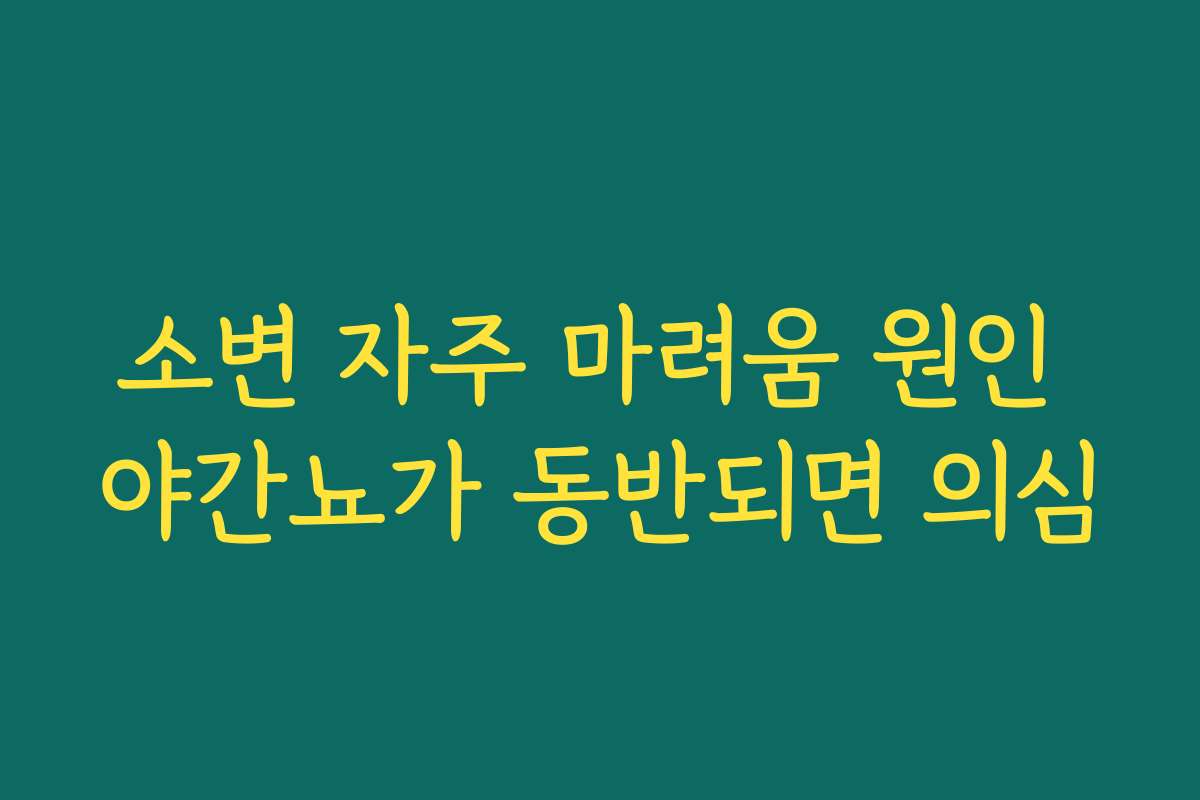 소변 자주 마려움 원인 야간뇨가 동반되면 의심