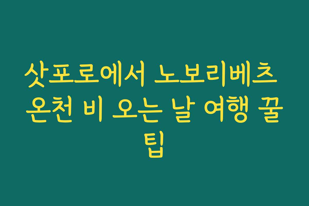 삿포로에서 노보리베츠 온천 비 오는 날 여행 꿀팁 삿포로에서 노보리베츠 온천 비 오는 날 여행 꿀팁