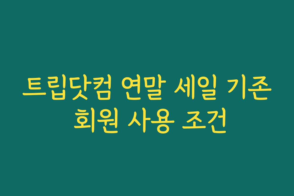 트립닷컴 연말 세일 기존 회원 사용 조건 트립닷컴 연말 세일 기존 회원 사용 조건