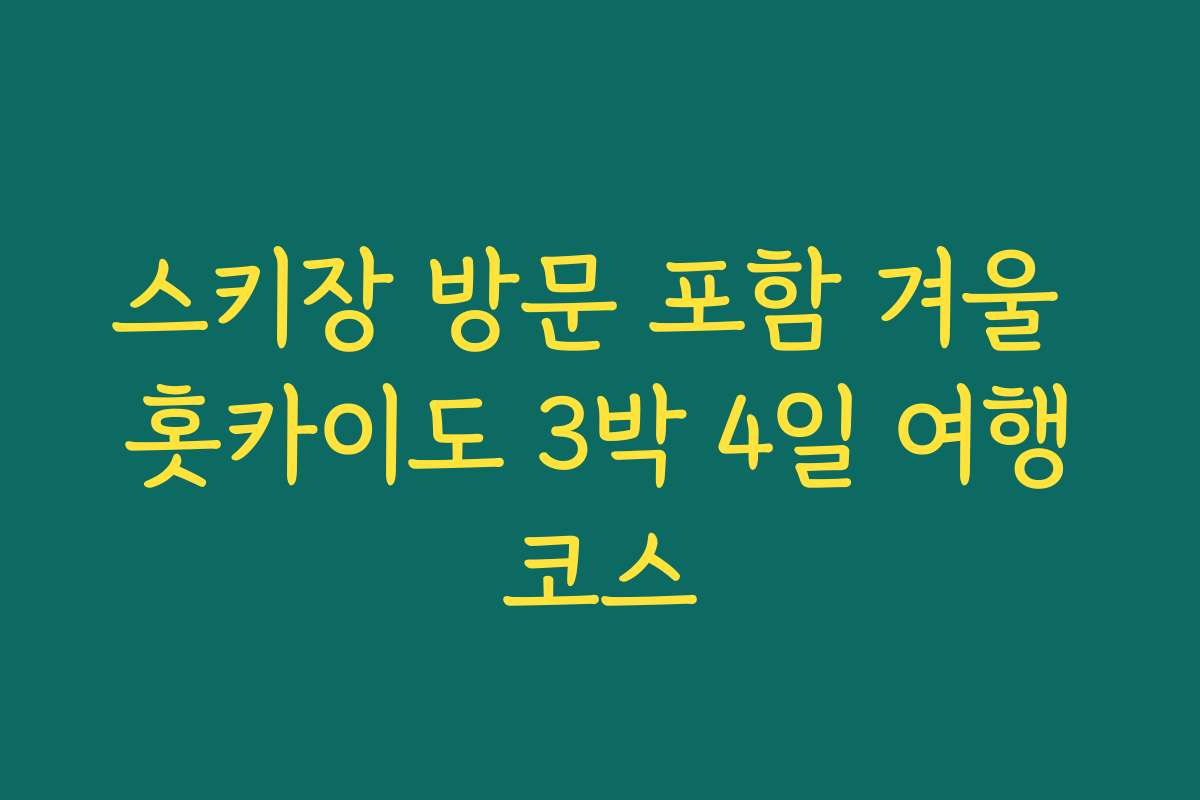 스키장 방문 포함 겨울 홋카이도 3박 4일 여행코스