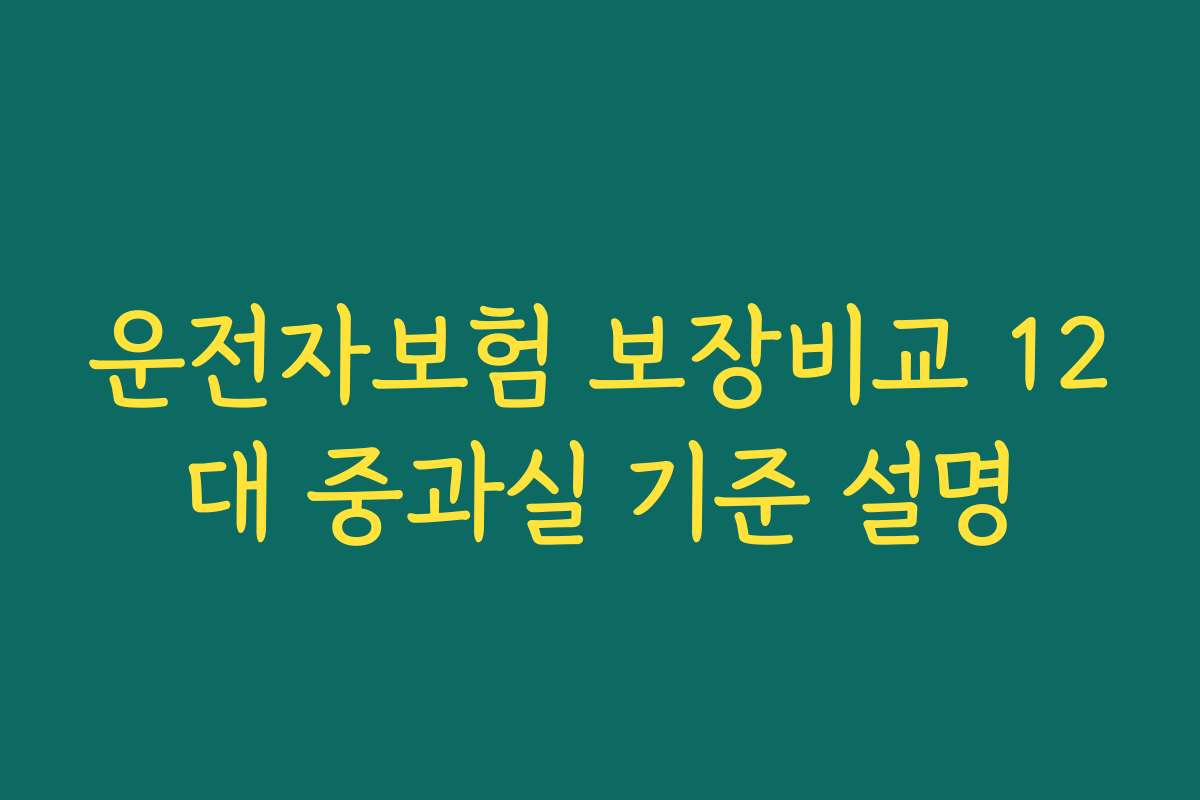 운전자보험 보장비교 12대 중과실 기준 설명