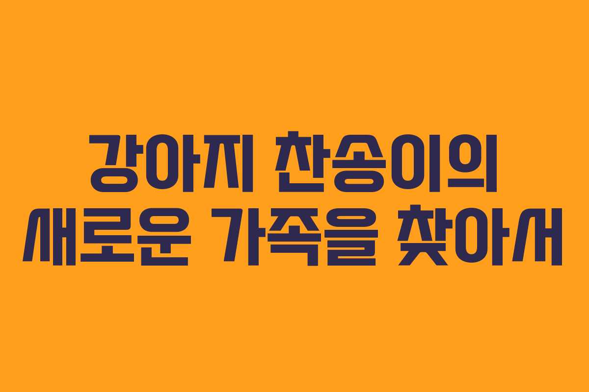 강아지 찬송이의 새로운 가족을 찾아서