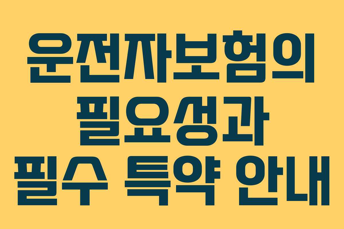 운전자보험의 필요성과 필수 특약 안내 운전자보험의 필요성과 필수 특약 안내